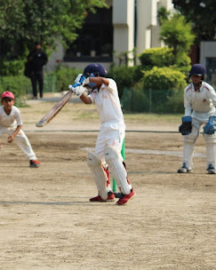 Box Cricket - Image 1