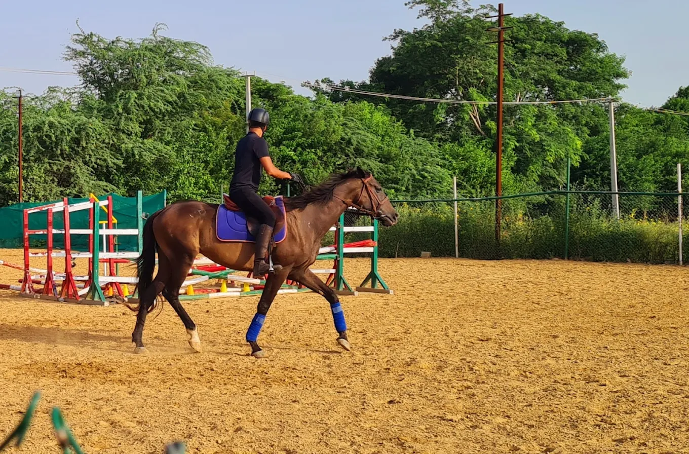 Horse Riding Classes For Kids and Adults - Gurgaon House Club