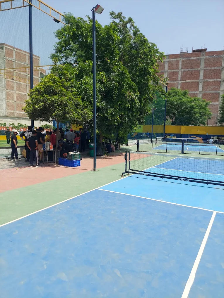 Pickleball - Image 1