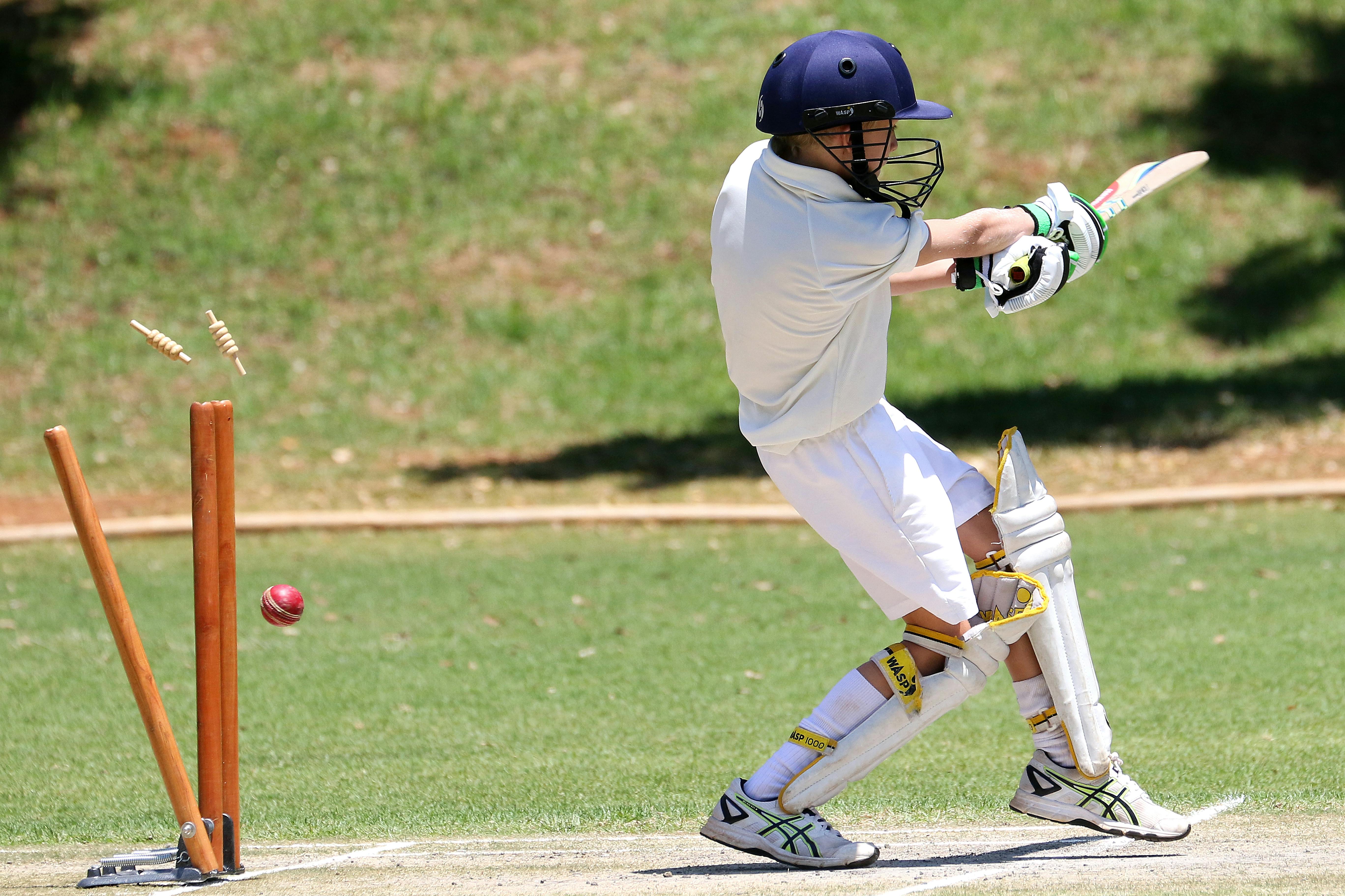 Zeno Cricket Club (For Kids and Adults)