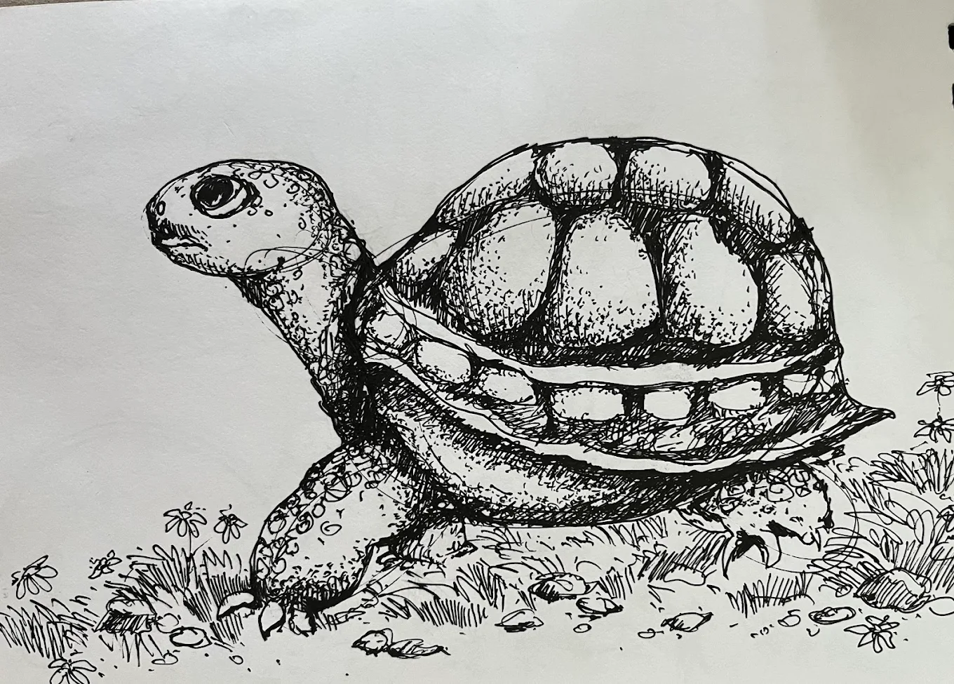 Drawing Classes for Adults - MAC Studio - Image 1