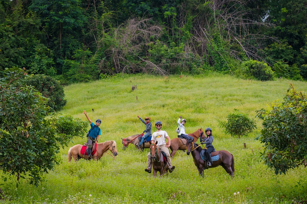 Jungle Safari Trail For Kids and Adults - Passion Horse Riding Club