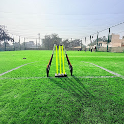 Box Cricket for kids and adults