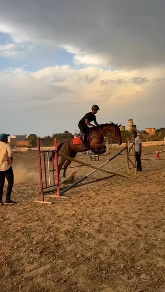 Kids Joy Ride - Passion Horse Riding Club