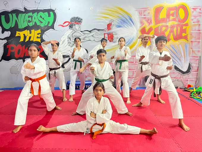 Karate For Kids and Adults - Leo Karate Academy