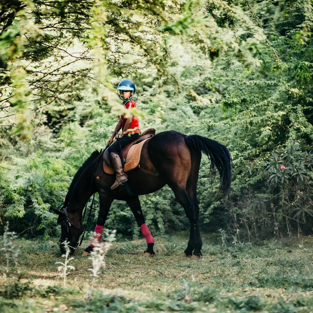 Horse Riding For Kids and Adults - Duke Horse Riding Club
