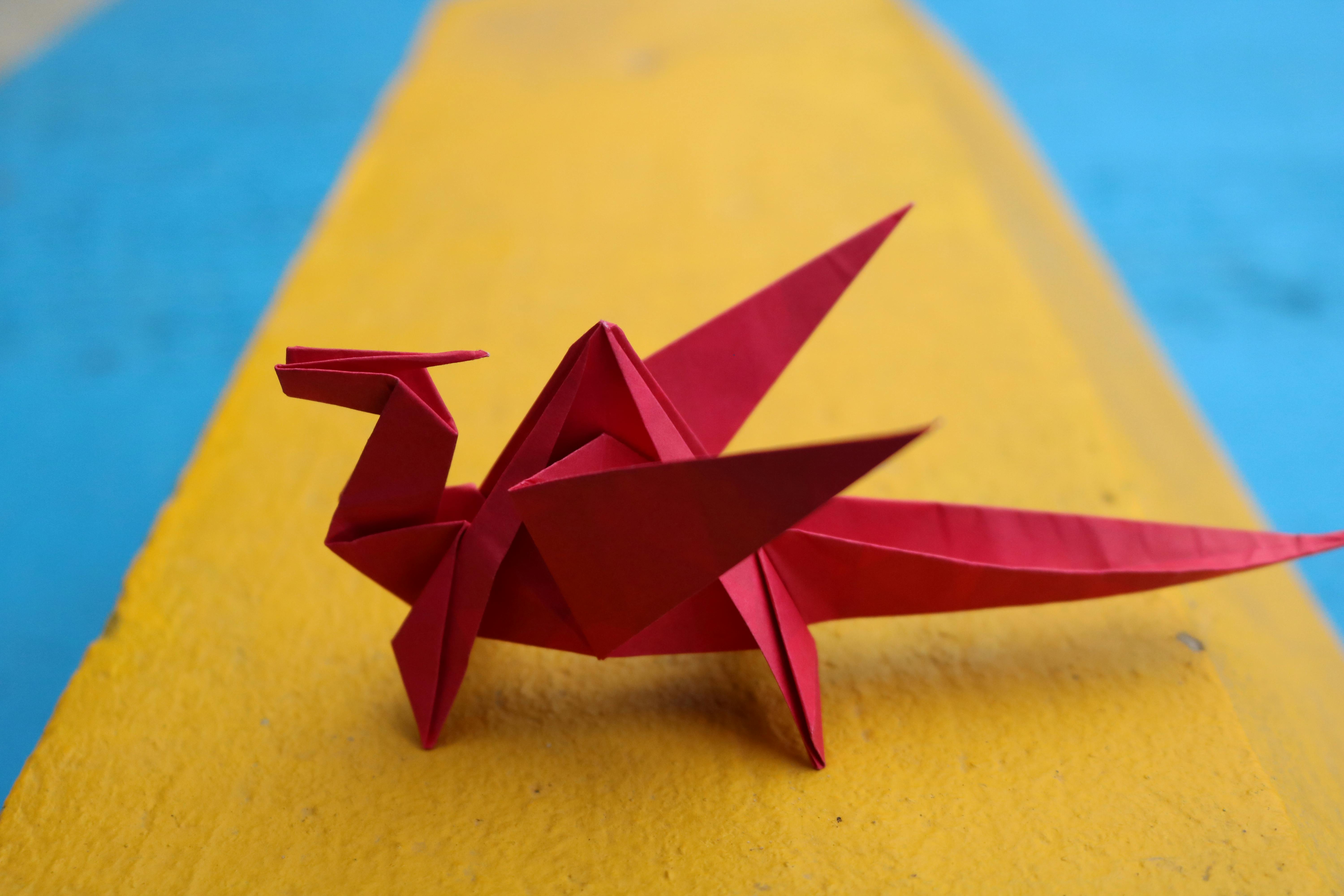 Origami For Kids - Wondercraft Studio