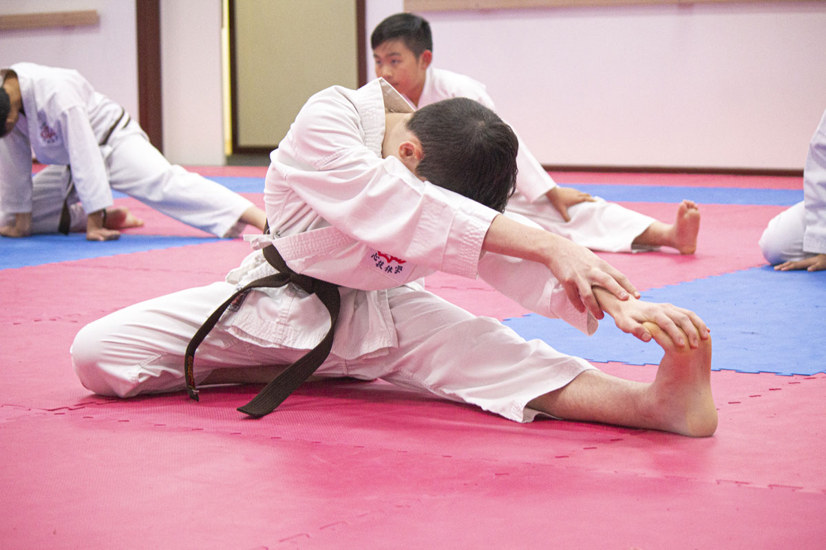 Karate For Kids and Adults - Leo Karate Academy - Image 1