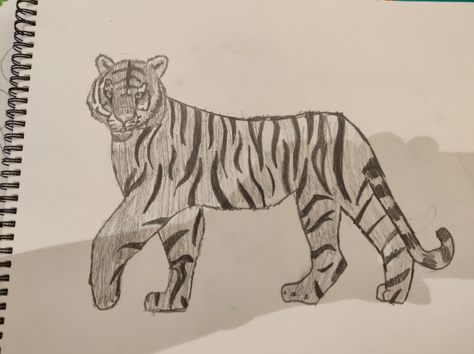 Sketching Classes For Kids and Adults 