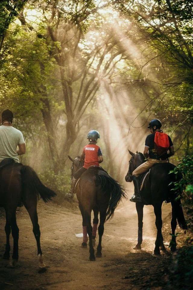 Jungle Safari For Kids and Adults - Duke Horse Riding Club